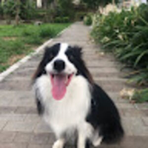 Meet your Posher, Katherine